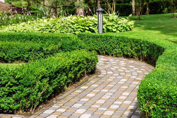Cost of Paved Landscaping in Riverside