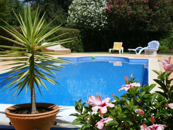 Pool Terrace Renovation in Riverside