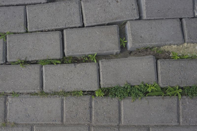 Close-up of Paver Joints