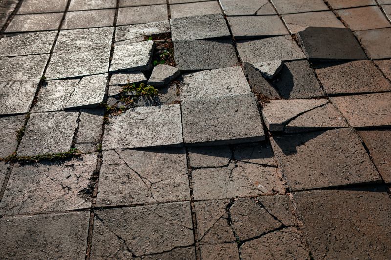 Summer Pavers Repair